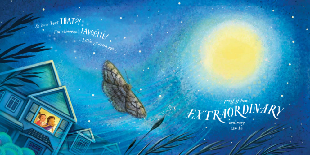celebrate-picture-books-picture-book-review-an-extraordinary-ordinary-moth-moonlight