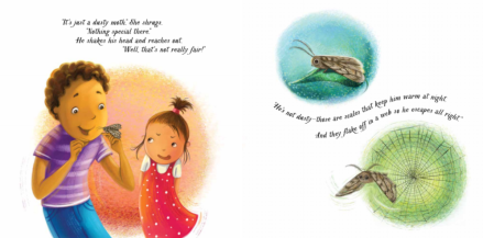 celebrate-picture-books-picture-book-review-an-extraordinary-ordinary-moth-web