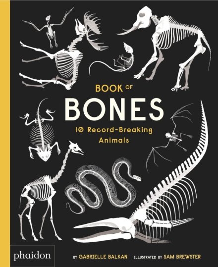 celebrate-picture-books-picture-book-review-book-of-bones-cover
