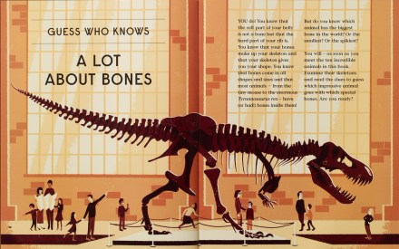 celebrate-picture-books-picture-book-review-book-of-bones-dinosaur