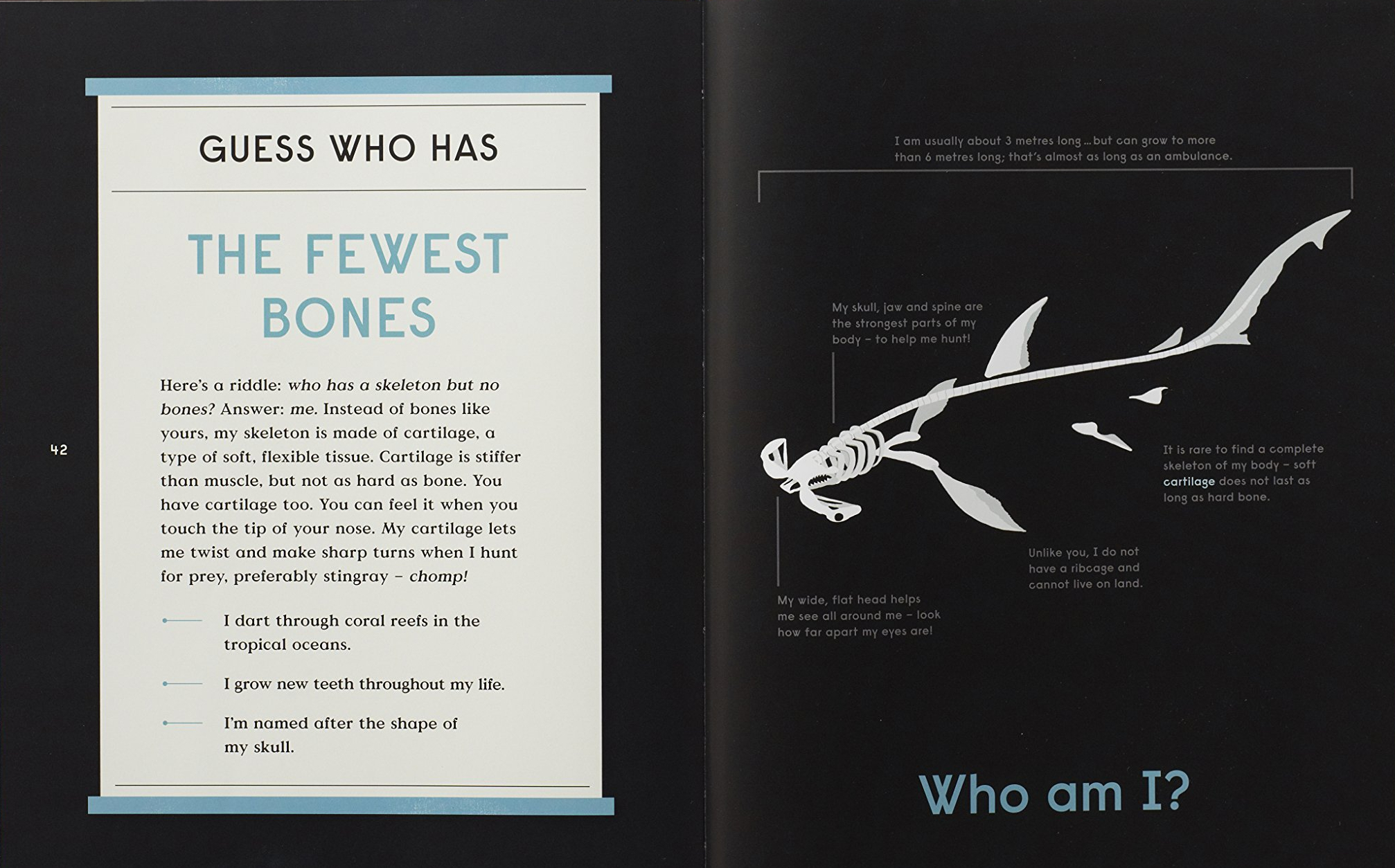 celebrate-picture-books-picture-book-review-book-of-bones-fewest-bon