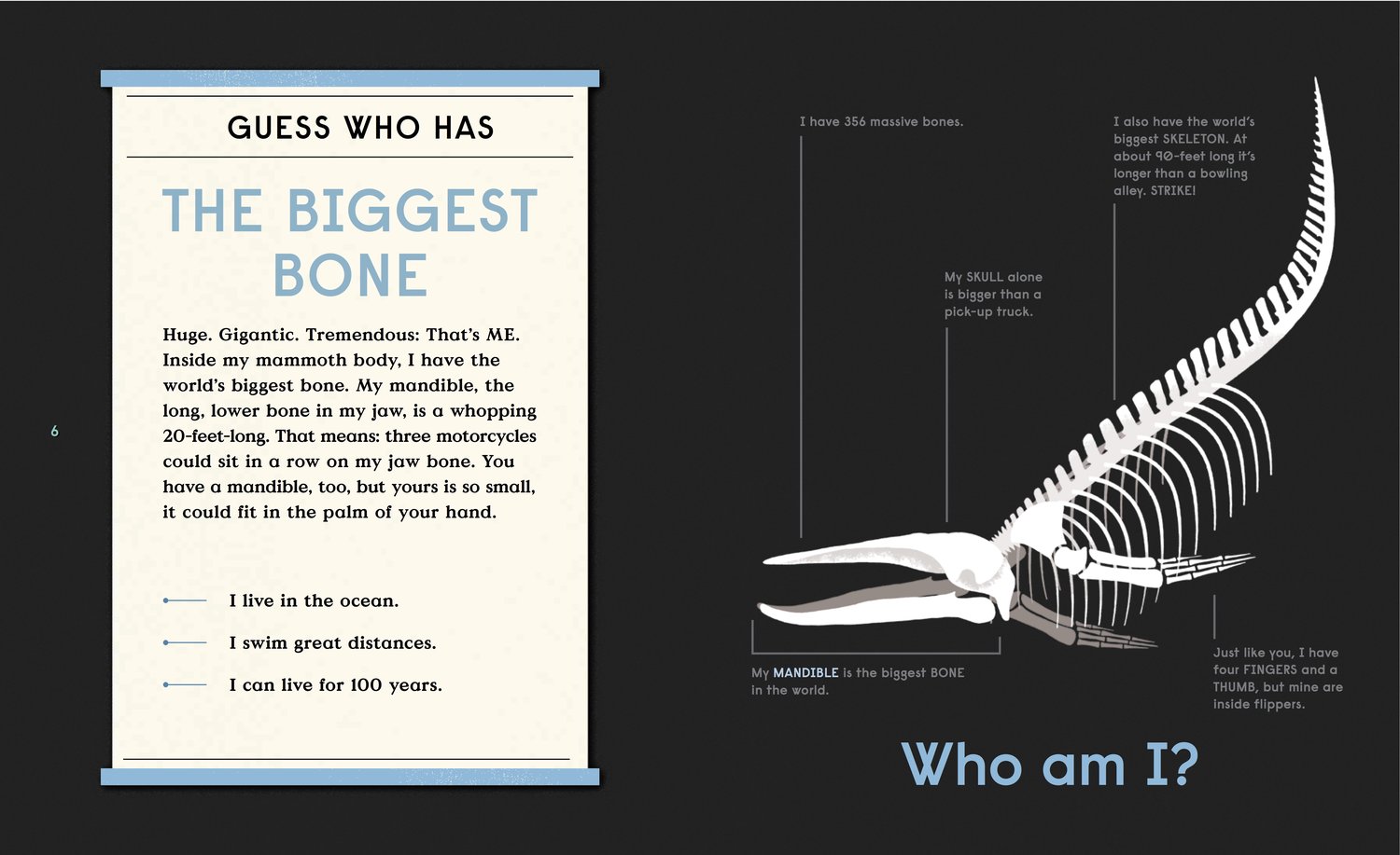 celebrate-picture-books-picture-book-review-book-of-bones-whale-skeleton