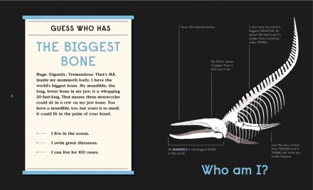celebrate-picture-books-picture-book-review-book-of-bones-whale-skeleton