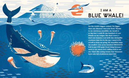 celebrate-picture-books-picture-book-review-book-of-bones-whale