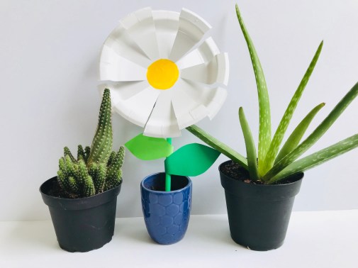 celebrate-picture-books-picture-book-review-sunny-daisy-paper-plate-craft