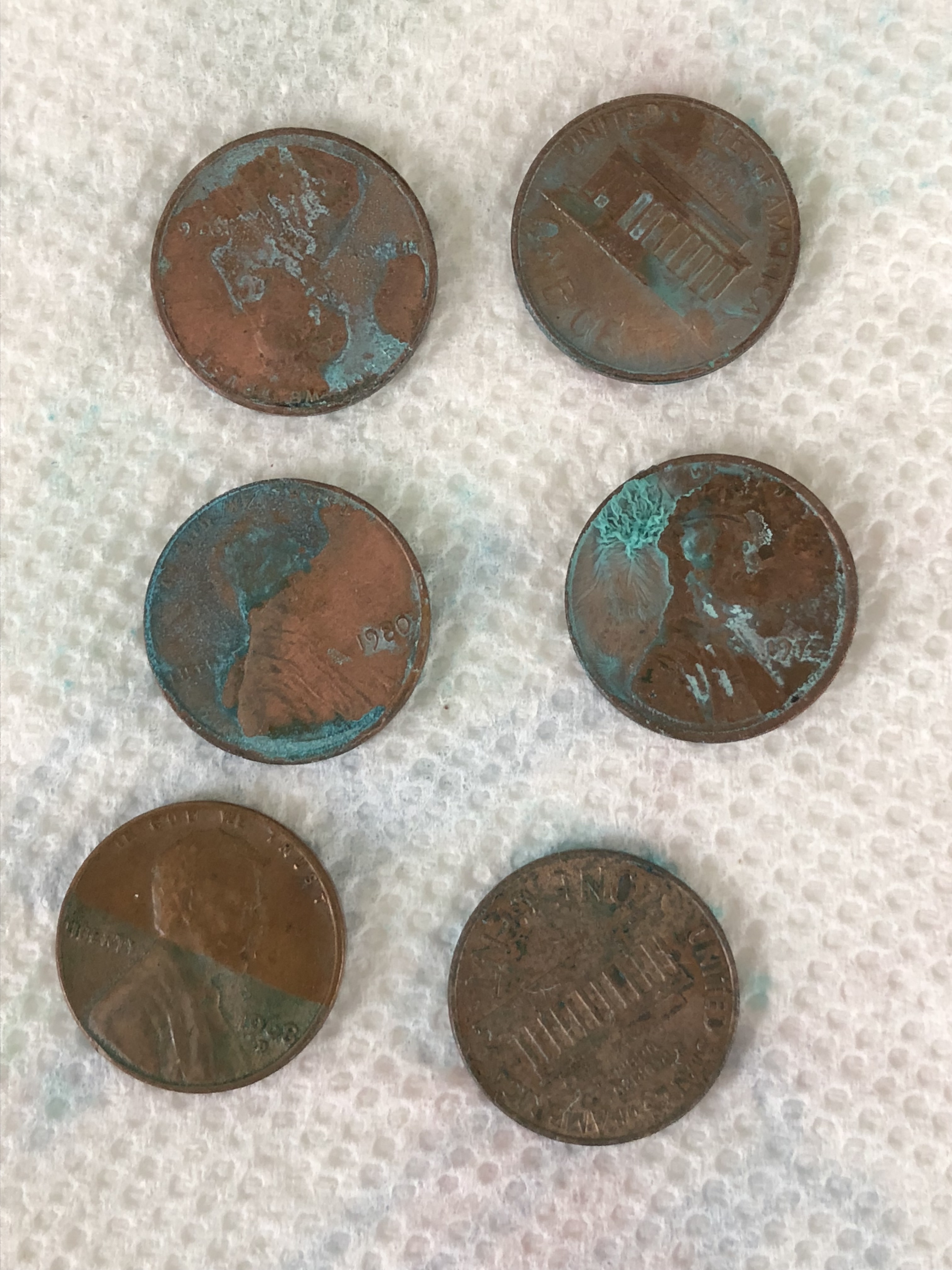 celebrate-picture-books-picture-book-review-green=pennies-experiment