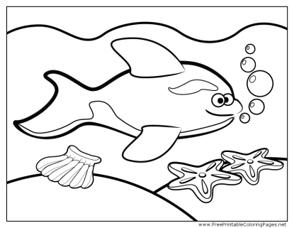 celebrate-picture-books-picture-book-review-whale-coloring-page
