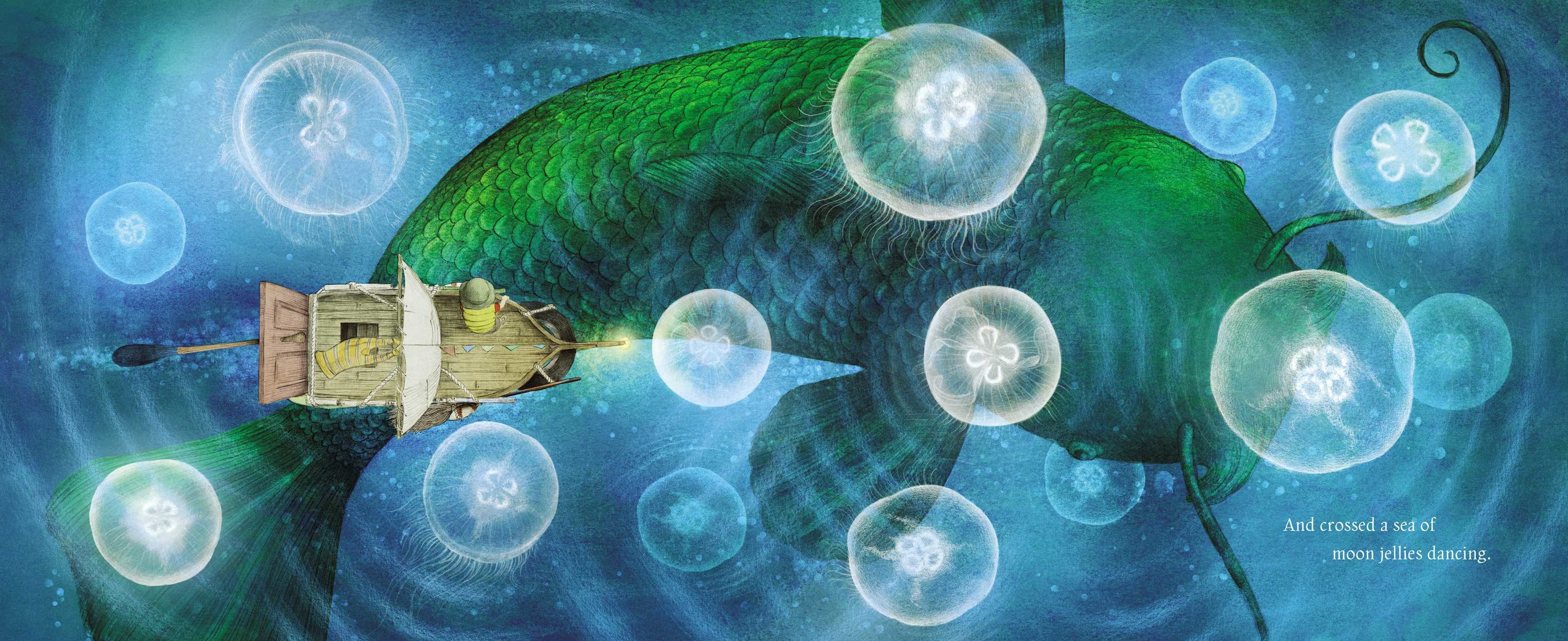 celebrate-picture-books-picture-book-review-ocean-meets-sky-moon-jellies