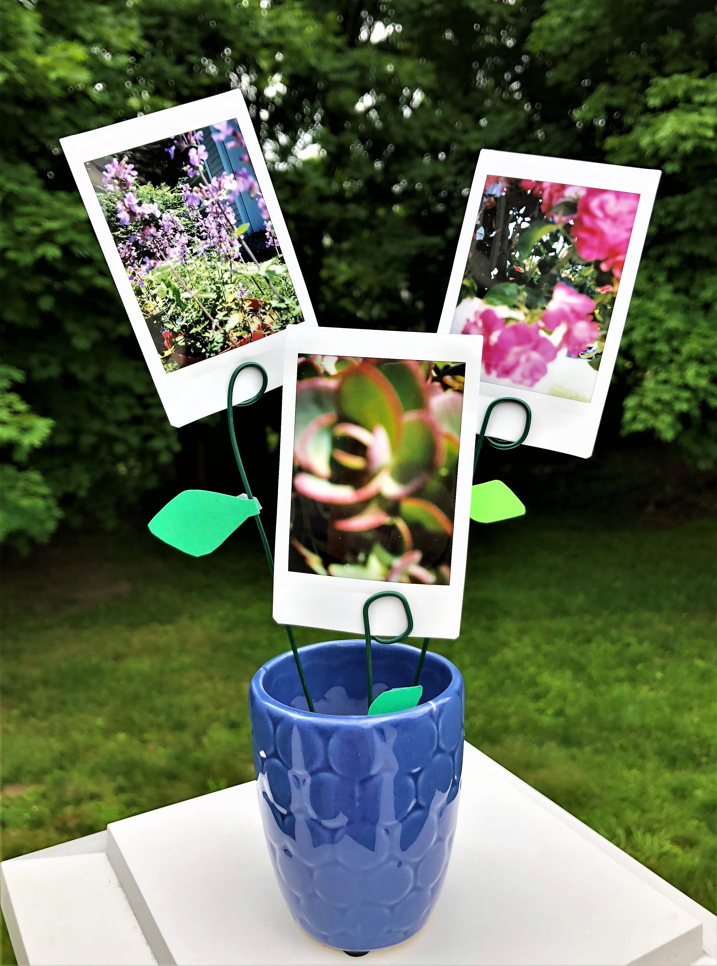 celebrate-picture-books-picture-book-review-pic-a-pot-of-flowers-craft