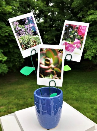 celebrate-picture-books-picture-book-review-pic-a-pot-of-flowers-craft