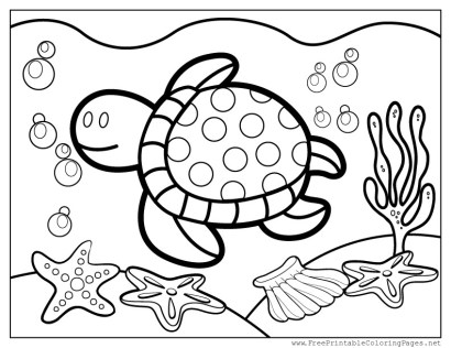 celebrate-picture-books-picture-book-review-turtle-coloring-page