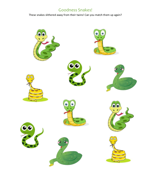 celebrate-picture-books-picture-book-review-goodness-snakes-matching-puzzle