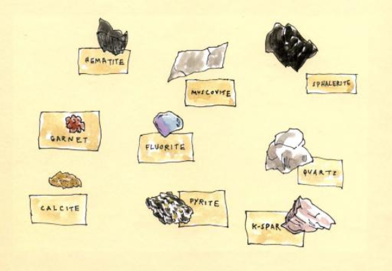 celebrate-picture-books-picture-book-review-rocks-in-his-head-rock-samples