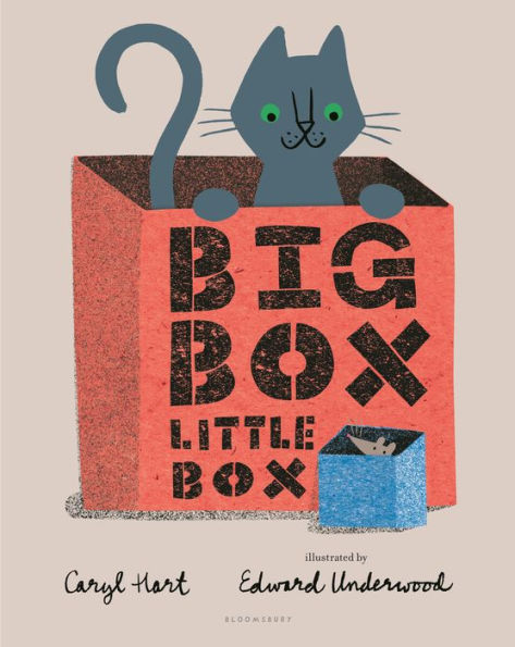 celebrate-picture-books-big-box-little-box-cover