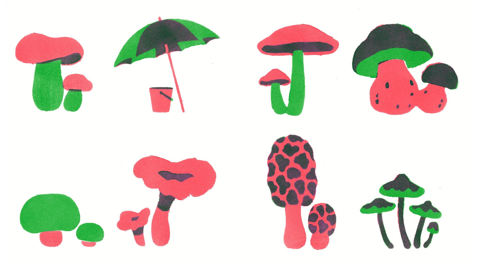 celebrate-picture-books-picture-book-review-food-hide-and-sneak-mushrooms