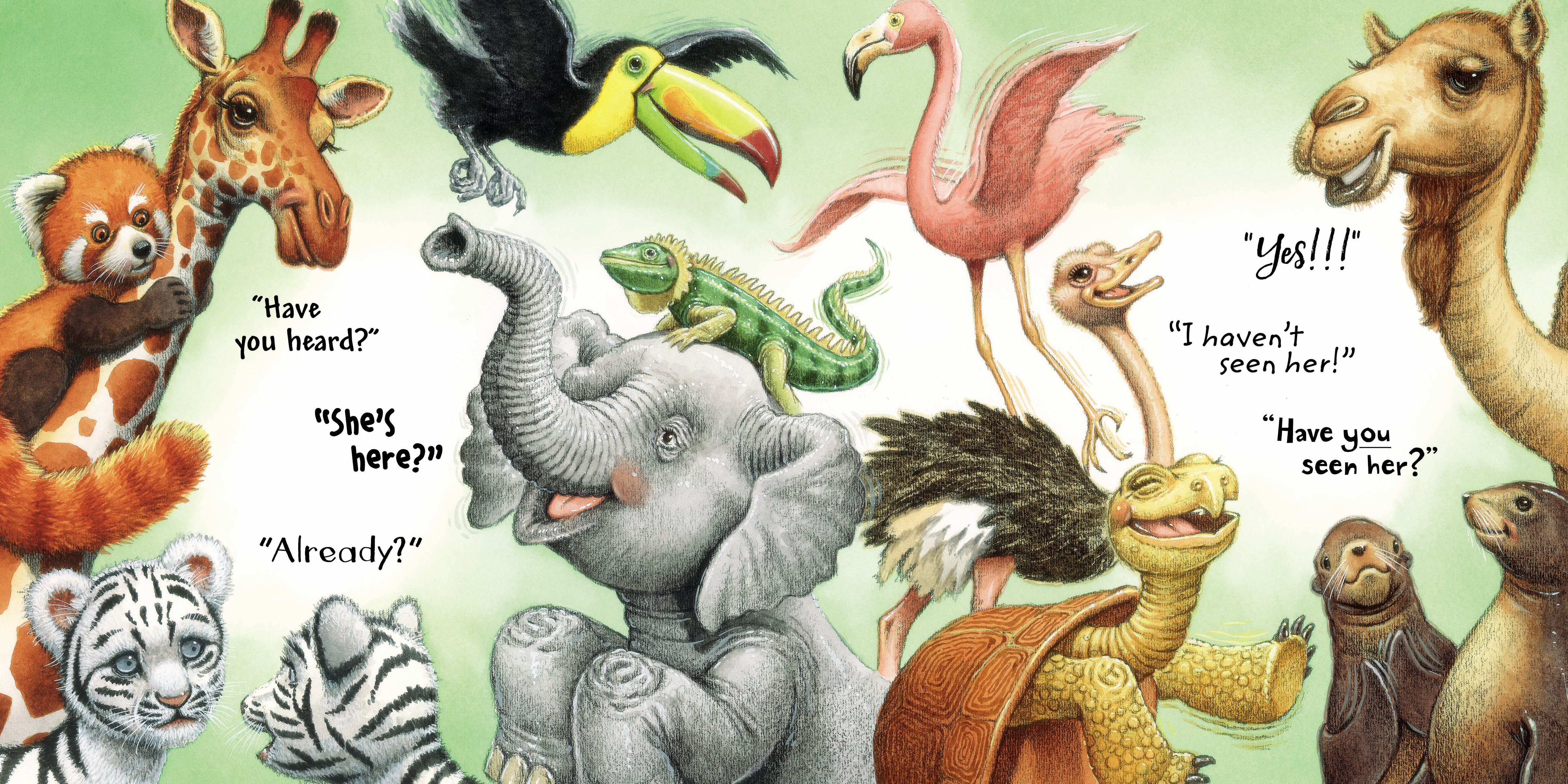 celebrate-picture-books-picture-book-review-fiona-the-hippo-zoo-animals