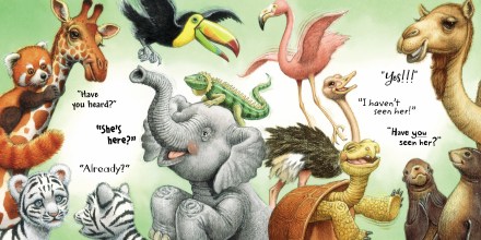 celebrate-picture-books-picture-book-review-fiona-the-hippo-zoo-animals