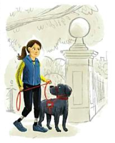 Screen Shot 2018-08-05 at 5.52.46 PM