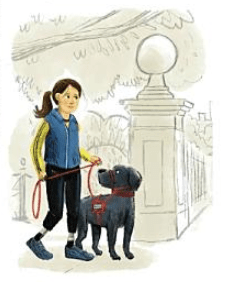 Screen Shot 2018-08-05 at 5.52.46 PM