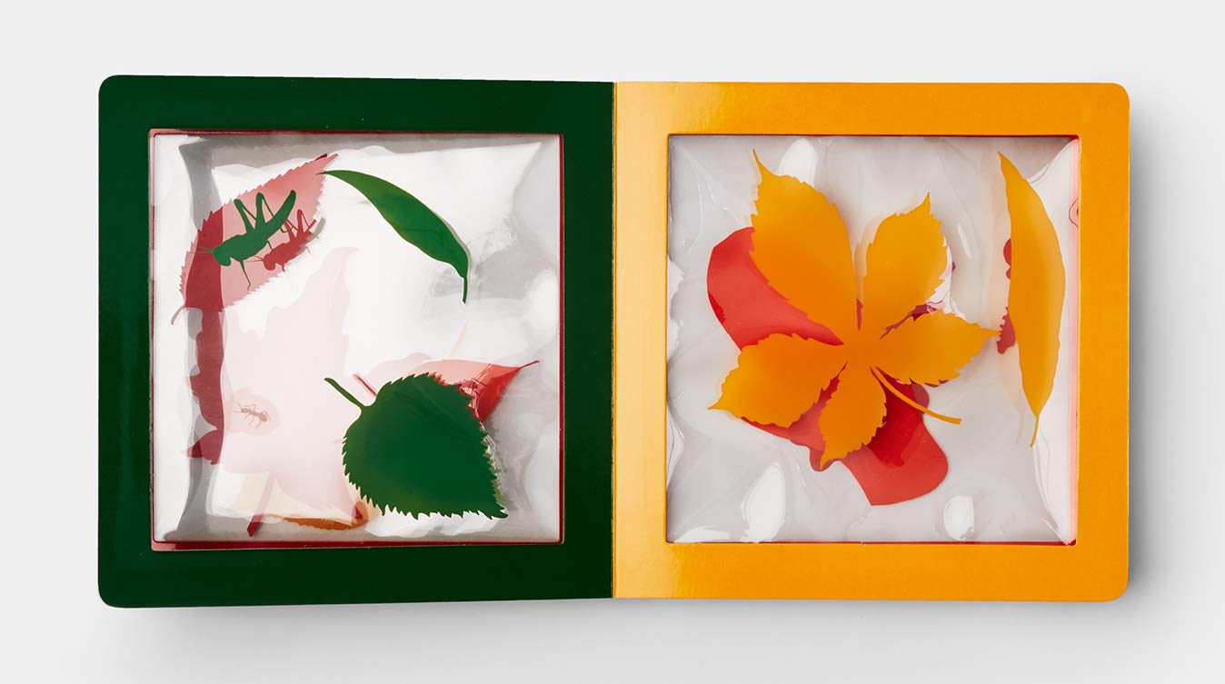 celebrate-picture-books-picture-book-a-pile-of-leaves-birch