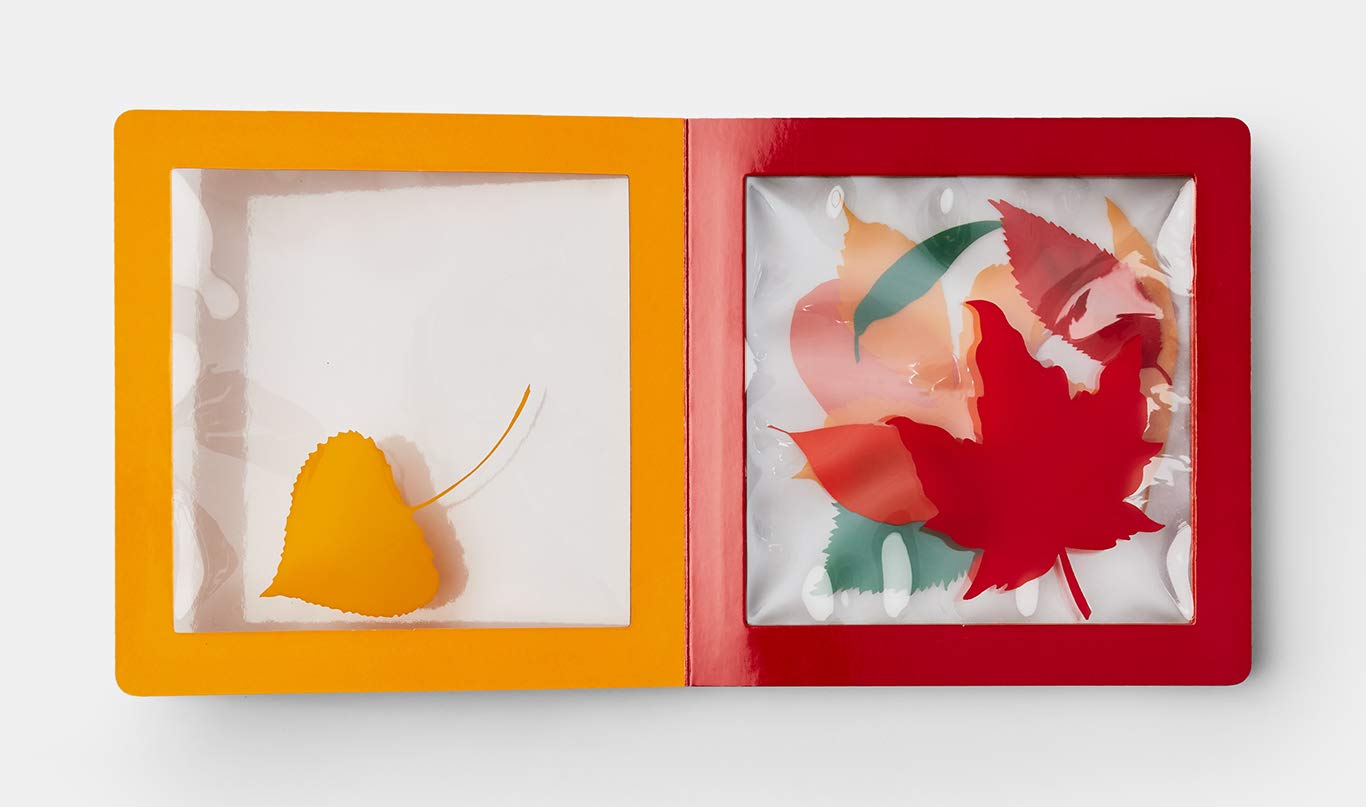 celebrate-picture-books-picture-book-review-a-pile-of-leaves-orange