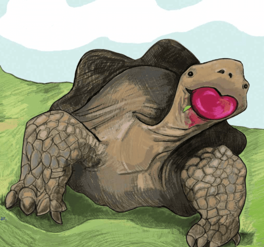 celebrate-picture-books-picture-book-review-galapagos-girl-isabella-eating-plum