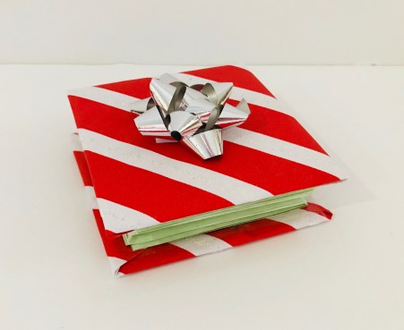 celebrate-picture-books-picture-book-review-mini-book-craft-cover