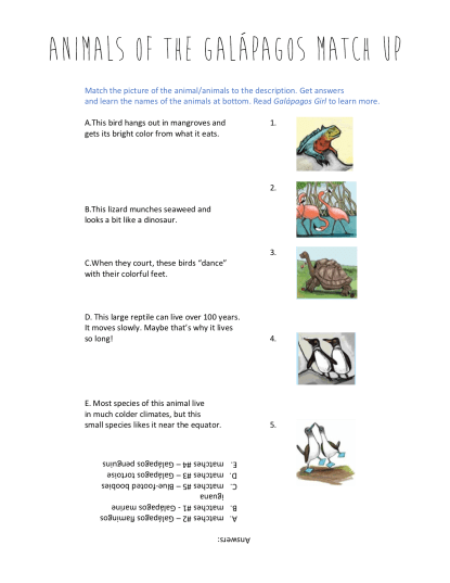 celebrate-picture-books-picture-book-review-animals-of-the-galapagos-match-up-puzzle