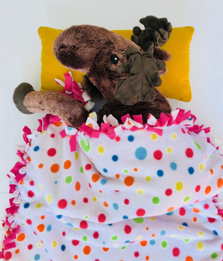 celebrate-picture-books-picture-book-review-sleep-buddy-craft