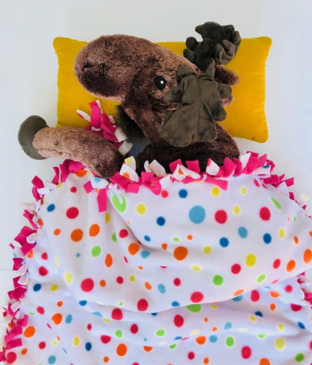 celebrate-picture-books-picture-book-review-sleep-buddy-craft