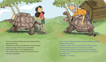 celebrate-picture-books-picture-book-review-Galápagos-Girl-tortoises