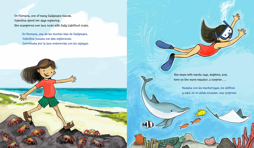 celebrate-picture-books-picture-book-review-Galápagos-Girl-crabscelebrate-picture-books-picture-book-review-Galápagos-Girl-crabs