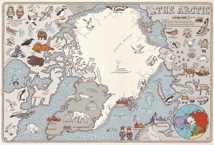 celebrate-picture-books-picture-book-review-maps-the-arctic
