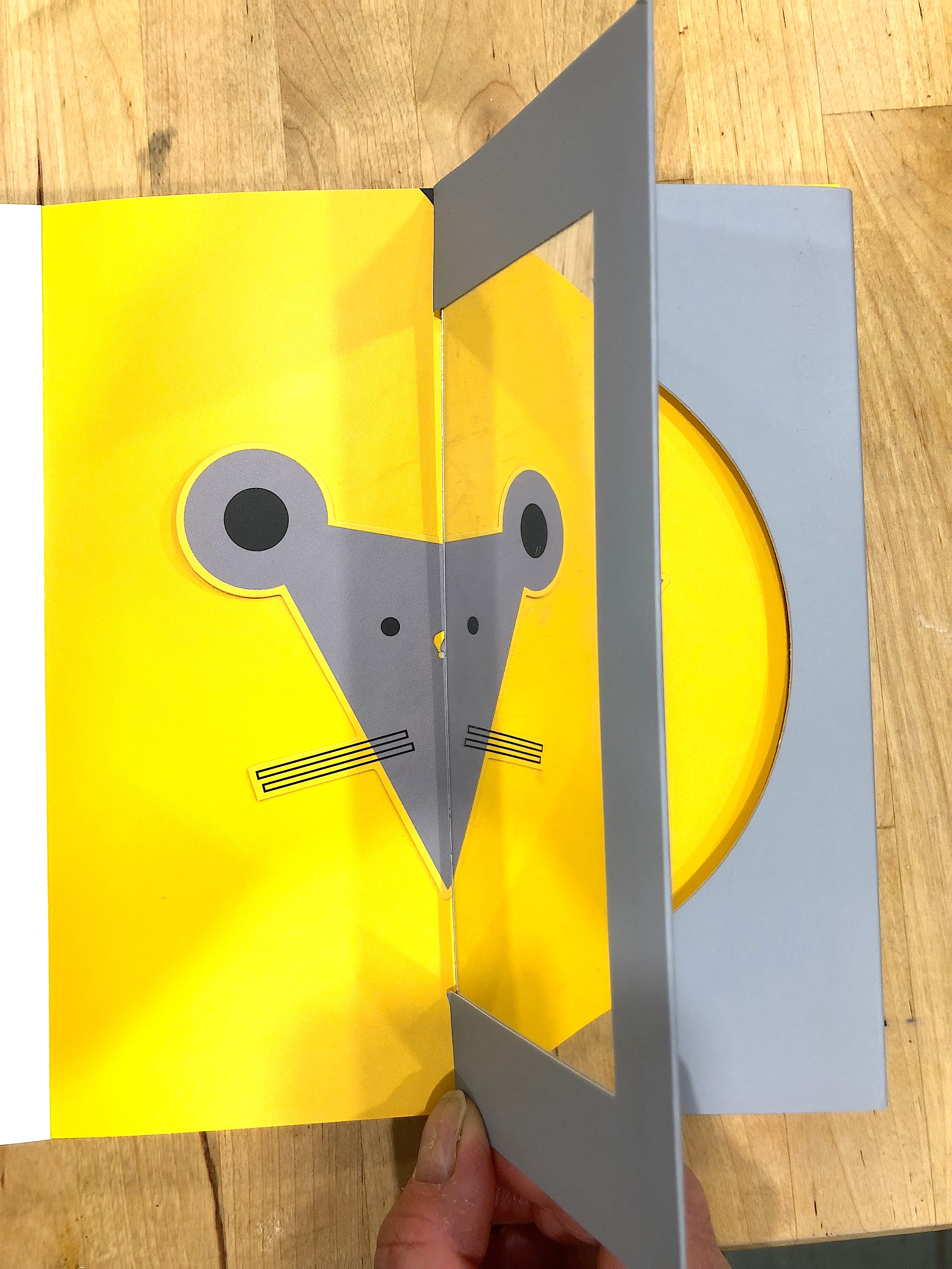 celebrate-picture-books-picture-book-review-mirror-play-panda-mouse