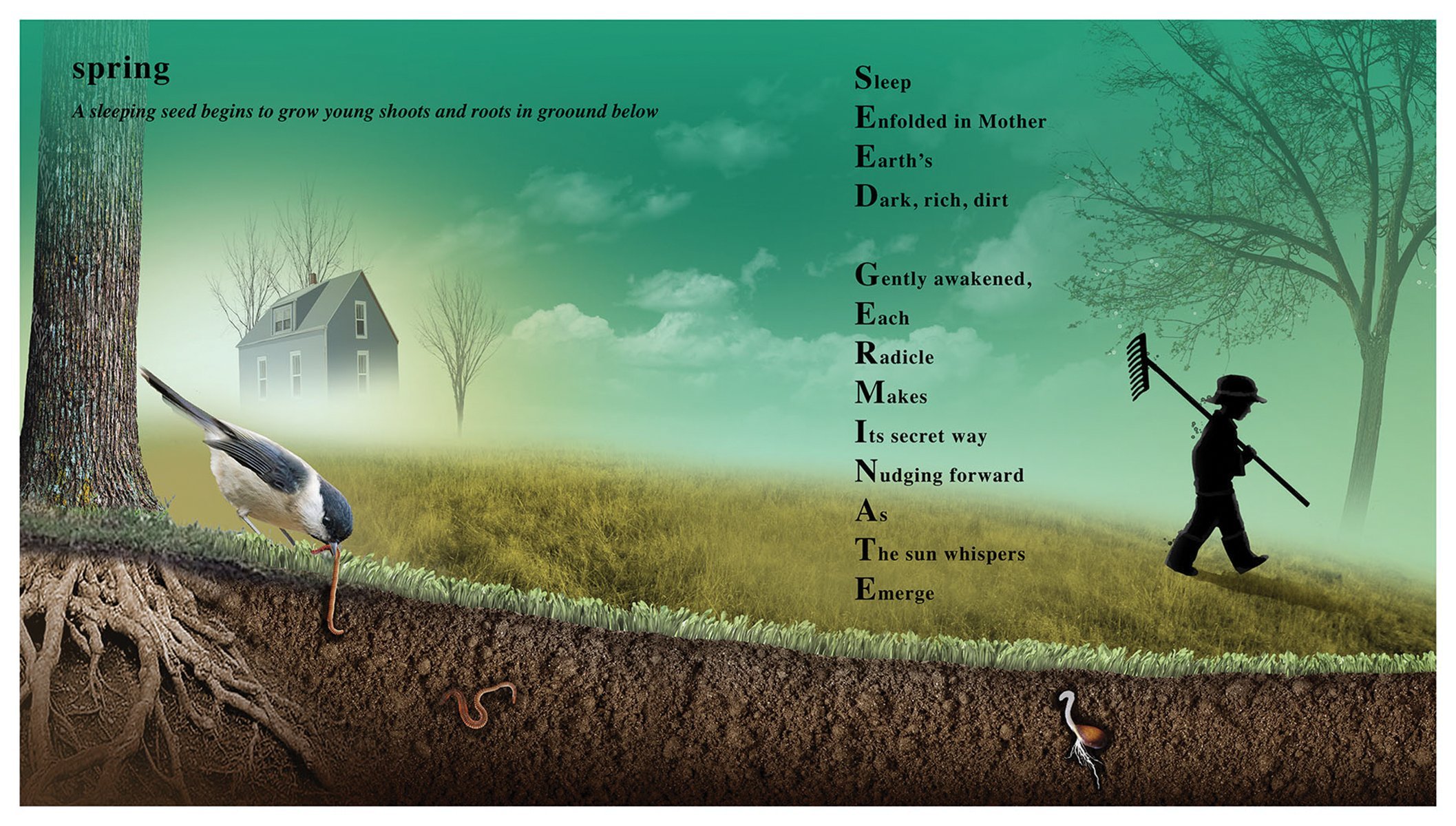 celebrate-picture-books-picture-book-review-poetree-spring-seed