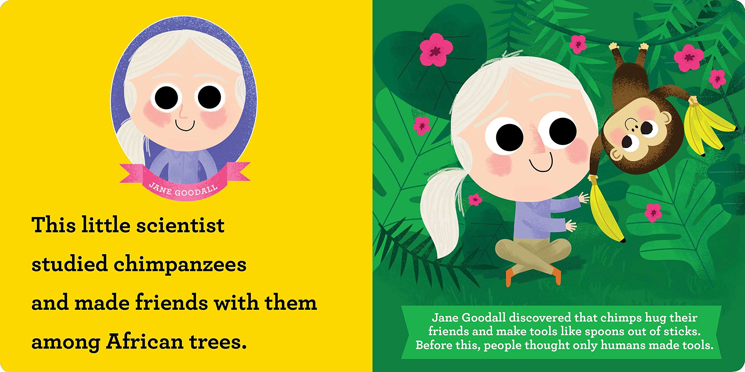 celebrate-picture-books-picture-book-review-this-little-scientist-jane-goodall