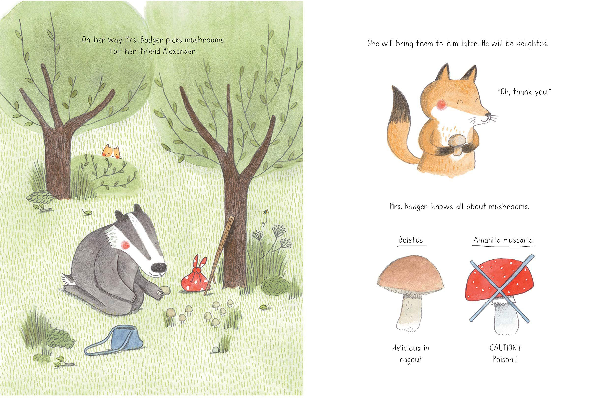 celebrate-picture-books-picture-book-review-up-the-mountain-path-mushrooms