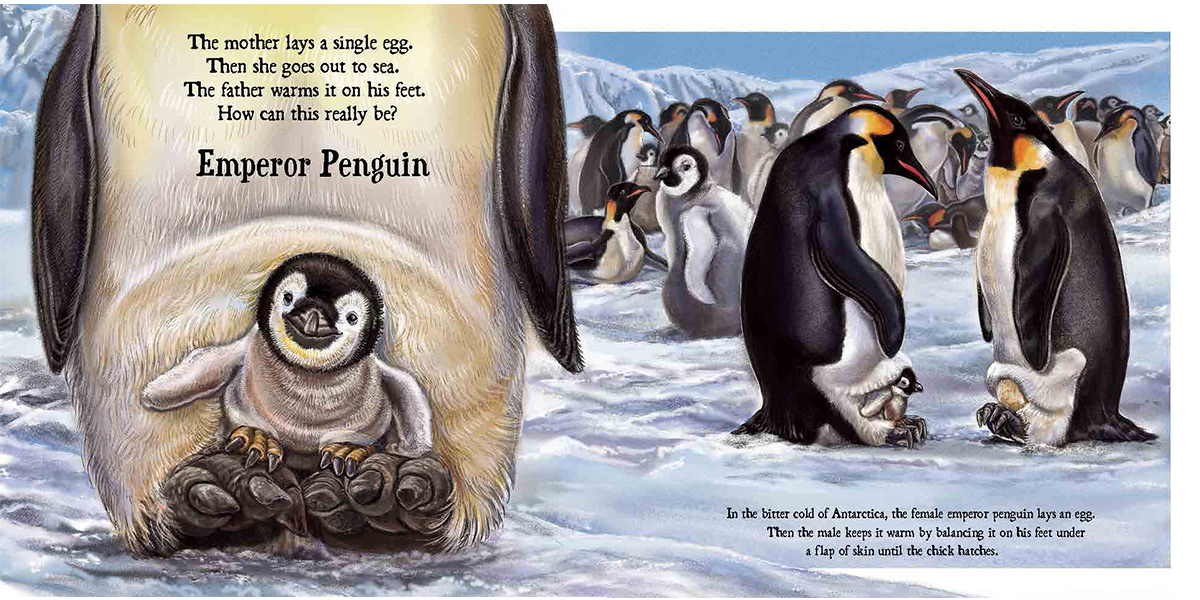 celebrate-picture-books-picture-book-review-baby-on-board-emperor-penguin