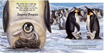 celebrate-picture-books-picture-book-review-baby-on-board-emperor-penguin