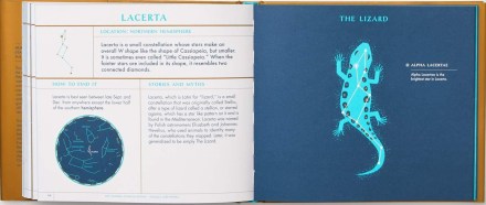 celebrate-picture-books-picture-book-review-seeing-stars-lacerta