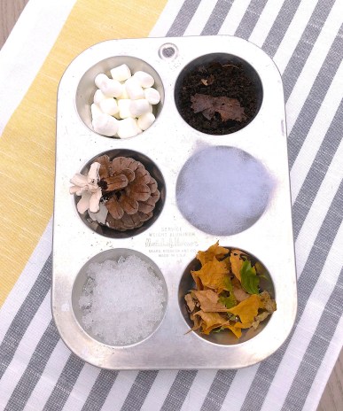 celebrate-picture-books-picture-book-review-sensory-tin-activity-2