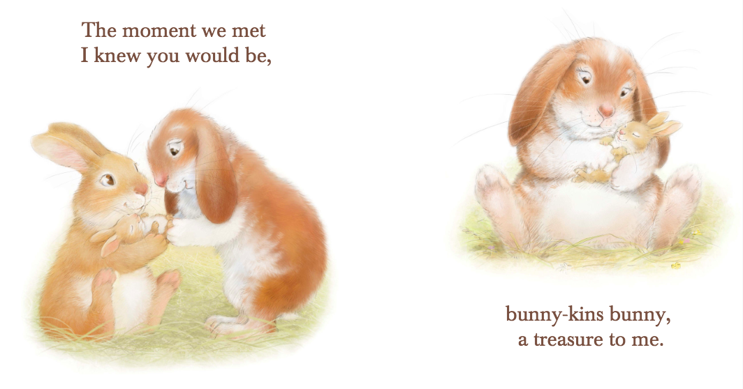 celebrate-picture-books-picture-book-review-auntie-loves-you-meets-bunny