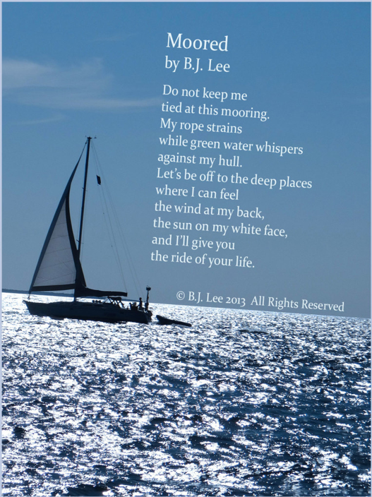 celebrate-picture-books-picture-book-review-bj-lee-intreview-moored-image