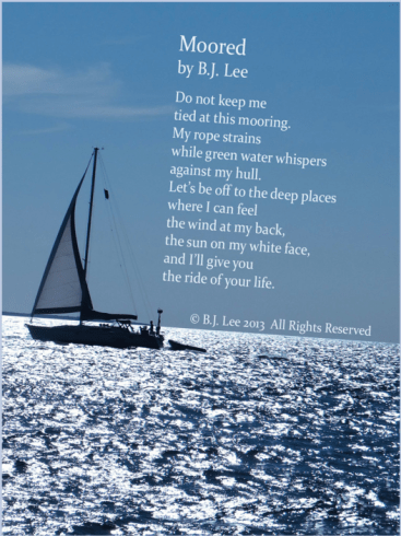 celebrate-picture-books-picture-book-review-bj-lee-intreview-moored-image