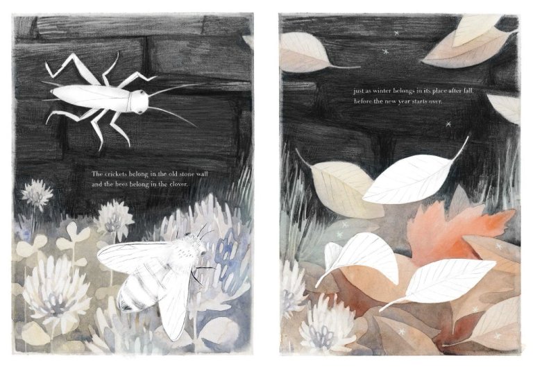 celebrate-picture-books-picture-book-review-you-belong-here-cricket