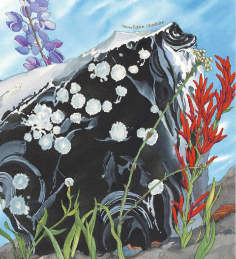 celebrate-picture-books-picture-book-review-a-rock-is-lively-snowflake-obsidian