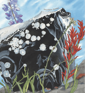 celebrate-picture-books-picture-book-review-a-rock-is-lively-snowflake-obsidian