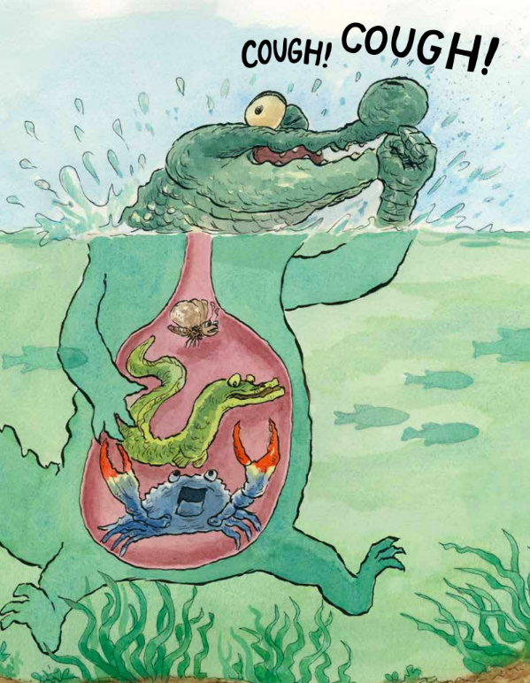 celebrate-picture-books-picture-book-review-there-was-an-old-gator-who-swallowed-a-moth-belly