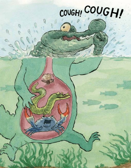 celebrate-picture-books-picture-book-review-there-was-an-old-gator-who-swallowed-a-moth-belly