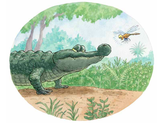 celebrate-picture-books-picture-book-review-there-was-an-old-gator-who-swallowed-a-moth-last-moth